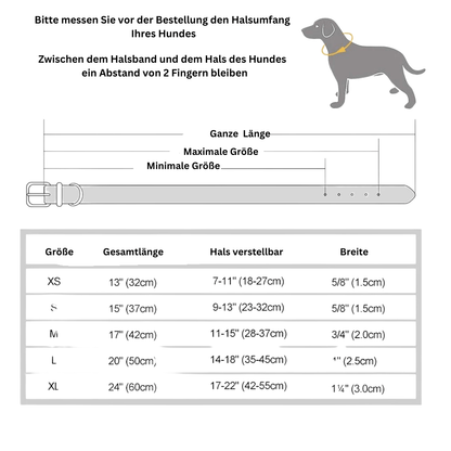 HUNDEHALSBAND AUF WUNSCH MIT KOSTENLOSER GRAVUR! - eddy shop