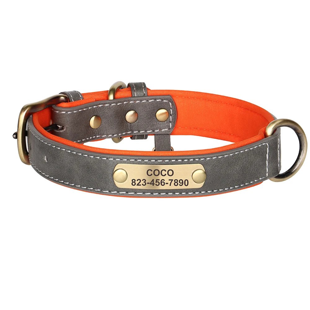 HUNDEHALSBAND AUF WUNSCH MIT KOSTENLOSER GRAVUR! - eddy shop