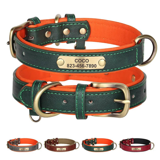 HUNDEHALSBAND AUF WUNSCH MIT KOSTENLOSER GRAVUR! - eddy shop