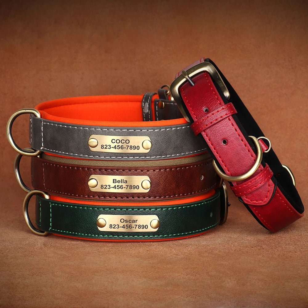 HUNDEHALSBAND AUF WUNSCH MIT KOSTENLOSER GRAVUR! - eddy shop