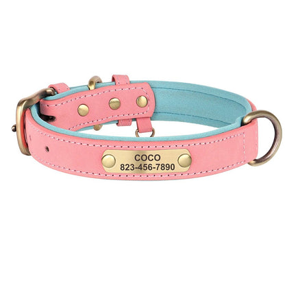 HUNDEHALSBAND AUF WUNSCH MIT KOSTENLOSER GRAVUR! - eddy shop