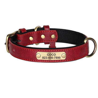 HUNDEHALSBAND AUF WUNSCH MIT KOSTENLOSER GRAVUR! - eddy shop