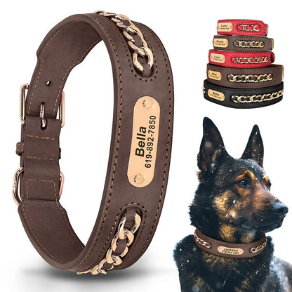 HUNDEHALSBAND, EDELSTAHLPLATTE, KOSTENLOSE GRAVUR - eddy shop