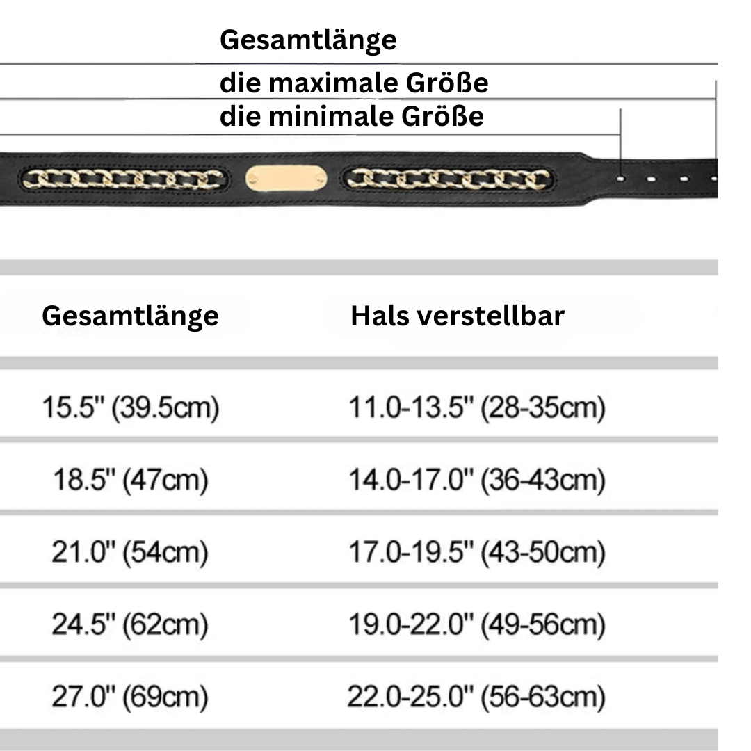 HUNDEHALSBAND, EDELSTAHLPLATTE, KOSTENLOSE GRAVUR - eddy shop