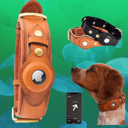 HUNDEHALSBAND IN EDLEM LEDER MIT AIRTAGHALTER - eddy shop