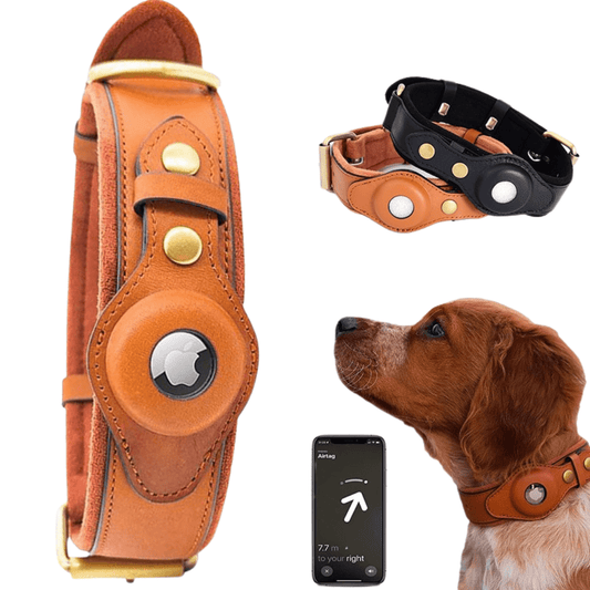 HUNDEHALSBAND IN EDLEM LEDER MIT AIRTAGHALTER - eddy shop