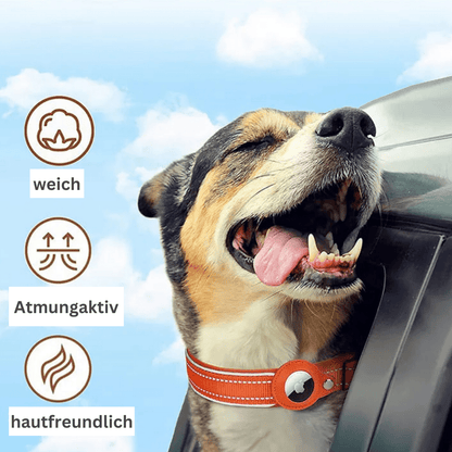 HUNDEHALSBAND MIT AIRTAG HÜLLE - eddy shop