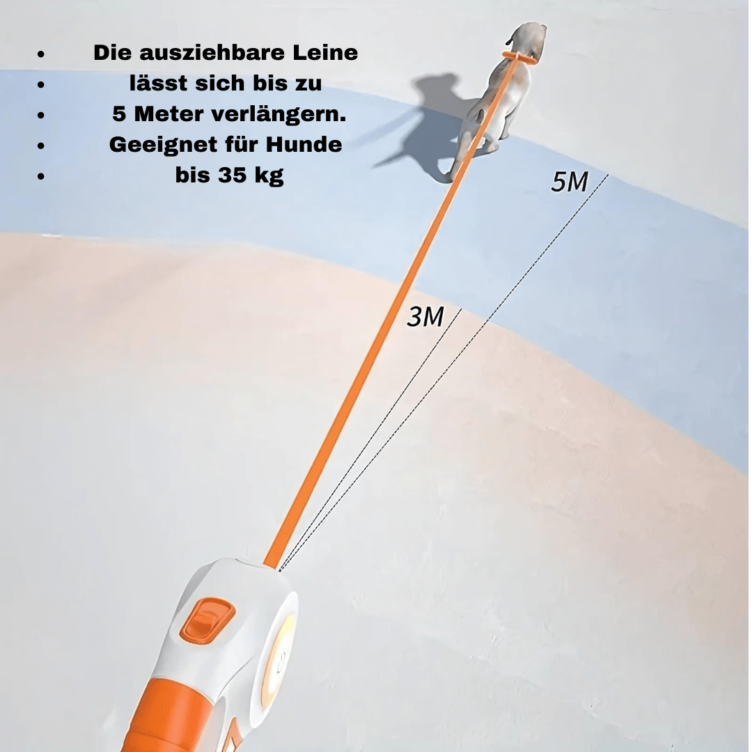 HUNDELEINE FÜR MAXIMALE SICHERHEIT UND KOMFORT - eddy shop