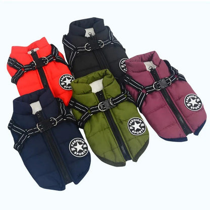 HUNDEMANTEL HUNDEJACKE MIT GESCHIRR - eddy shop