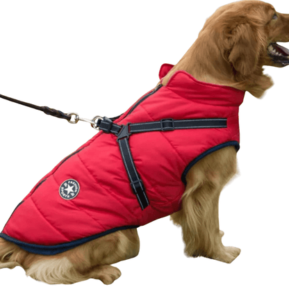 HUNDEMANTEL HUNDEJACKE MIT GESCHIRR - eddy shop