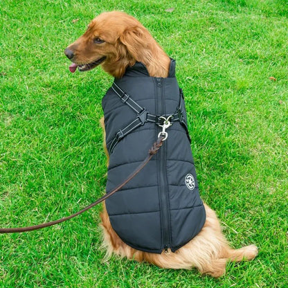 HUNDEMANTEL HUNDEJACKE MIT GESCHIRR - eddy shop