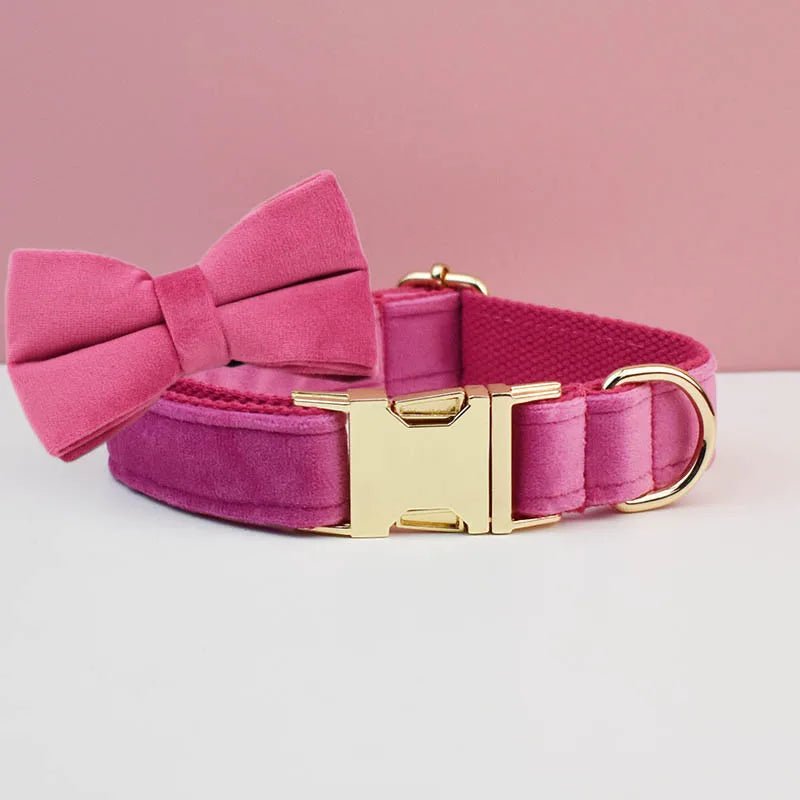 LUXURIÖSES PERSONALISIER - BARES HUNDEHALSBAND - eddy shop