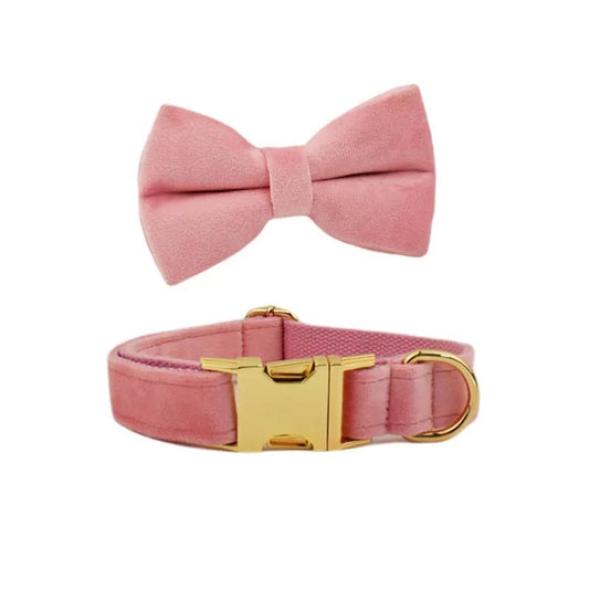 LUXURIÖSES PERSONALISIER - BARES HUNDEHALSBAND - eddy shop