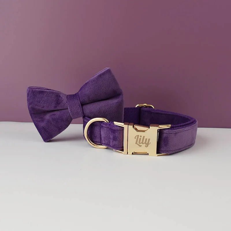 LUXURIÖSES PERSONALISIER - BARES HUNDEHALSBAND - eddy shop