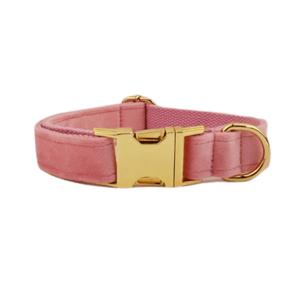 LUXURIÖSES PERSONALISIER - BARES HUNDEHALSBAND - eddy shop