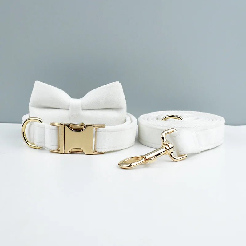 LUXURIÖSES PERSONALISIER - BARES HUNDEHALSBAND - eddy shop