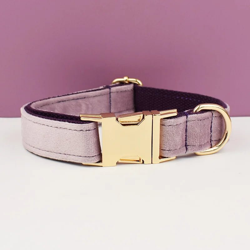 LUXURIÖSES PERSONALISIER - BARES HUNDEHALSBAND - eddy shop