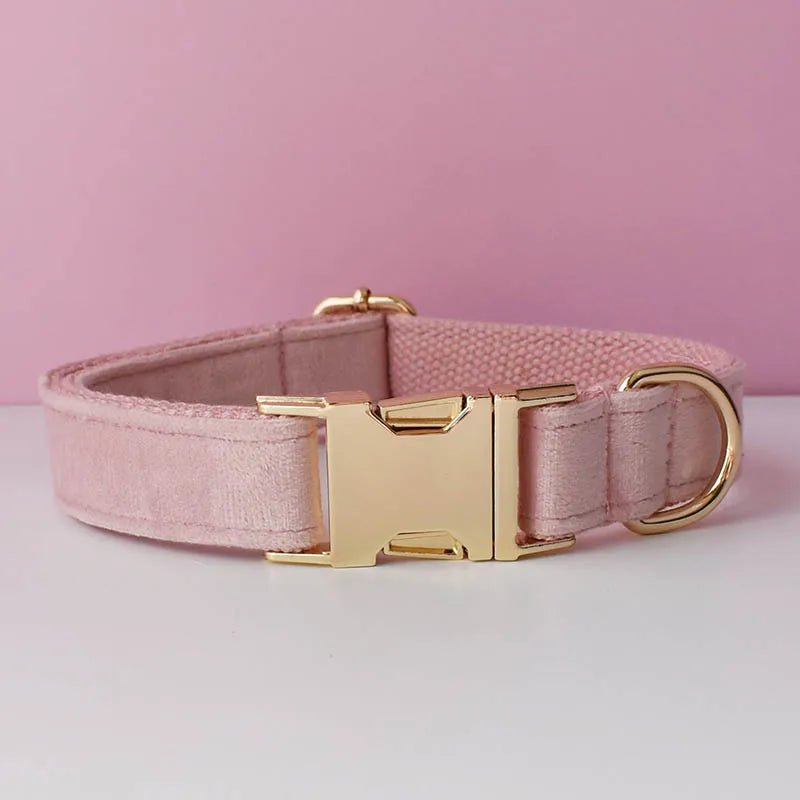 LUXURIÖSES PERSONALISIER - BARES HUNDEHALSBAND - eddy shop