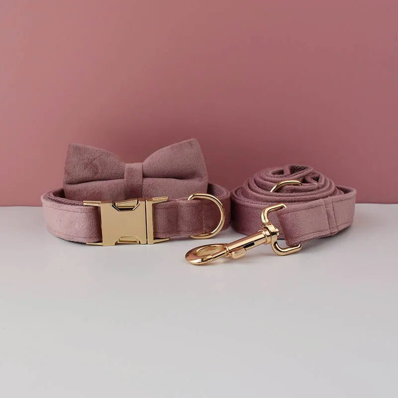 LUXURIÖSES PERSONALISIER - BARES HUNDEHALSBAND - eddy shop