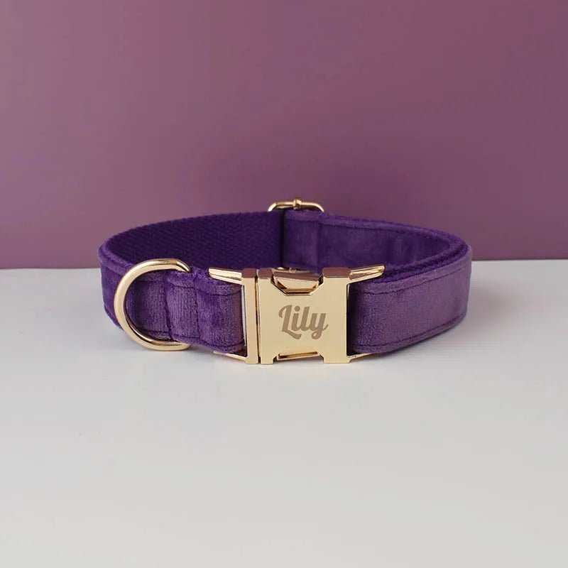 LUXURIÖSES PERSONALISIER - BARES HUNDEHALSBAND - eddy shop