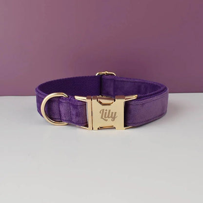 LUXURIÖSES PERSONALISIER - BARES HUNDEHALSBAND - eddy shop