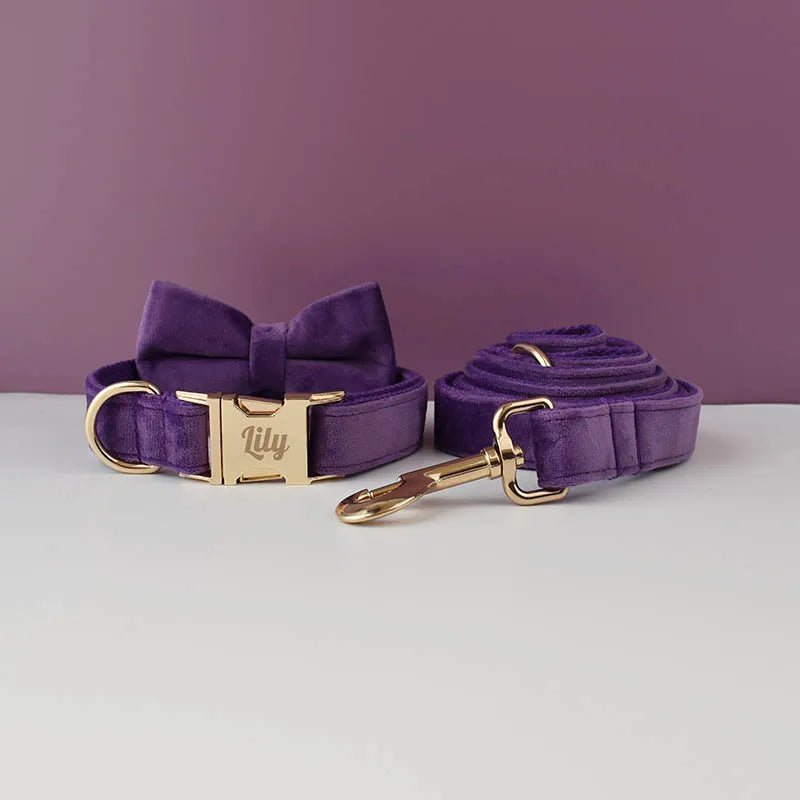 LUXURIÖSES PERSONALISIER - BARES HUNDEHALSBAND - eddy shop