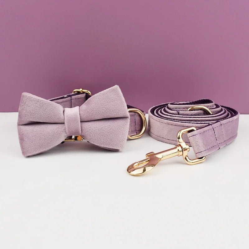 LUXURIÖSES PERSONALISIER - BARES HUNDEHALSBAND - eddy shop