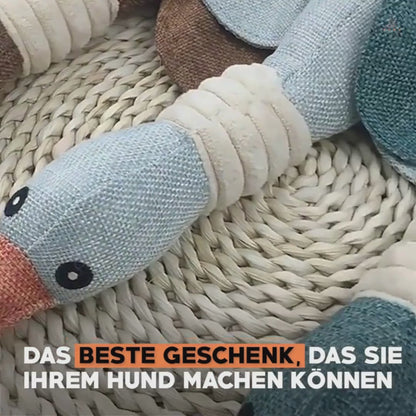 ENTEN SPIELZEUG FÜR DEN HUND