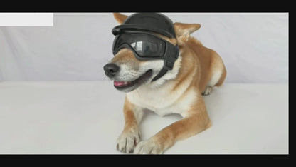 Hundebrille mit Helm