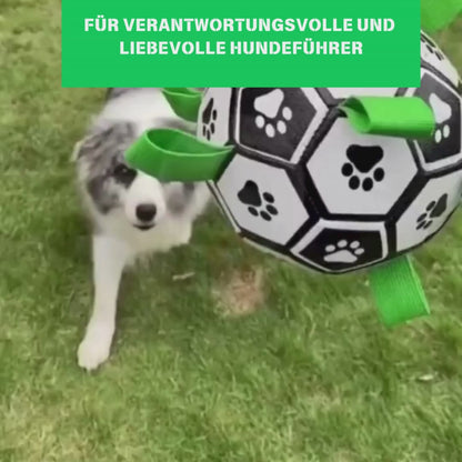 FUSSBALL FÜR DEN HUND UND DIE KINDER