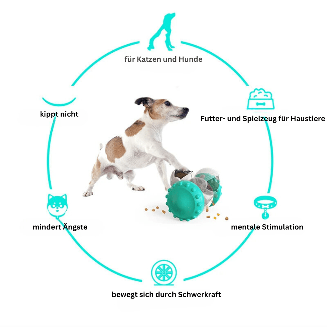 ROLLENDER FRESSNAPF UND KAUSPIELZEUG IN EINEM - eddy shop