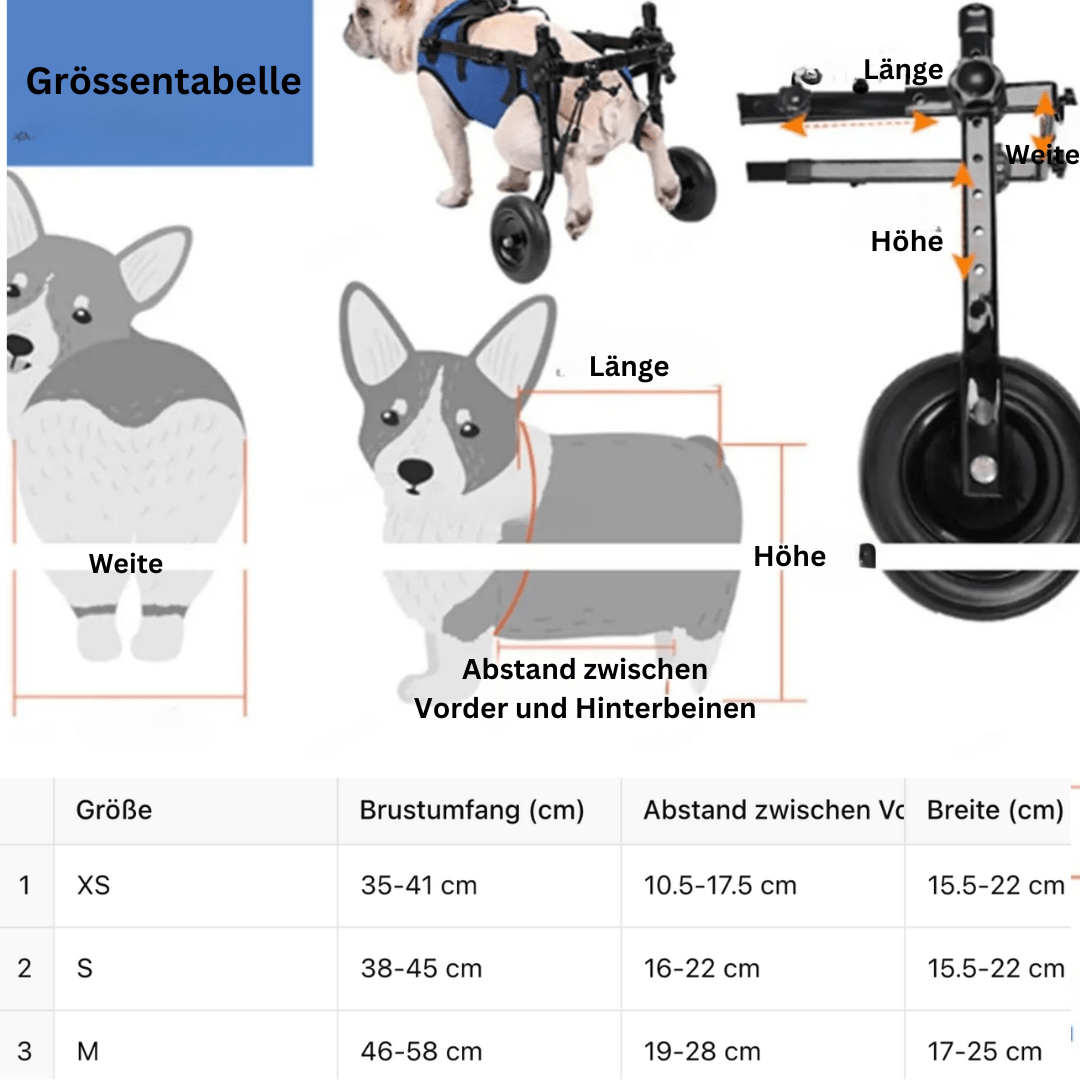 Rollstuhl für Hunde - eddy shop