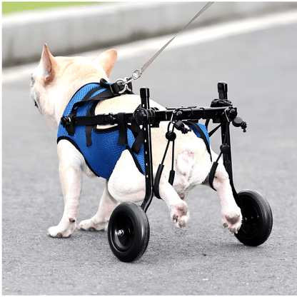 Rollstuhl für Hunde - eddy shop