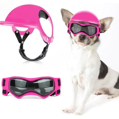 Hundebrille mit Helm