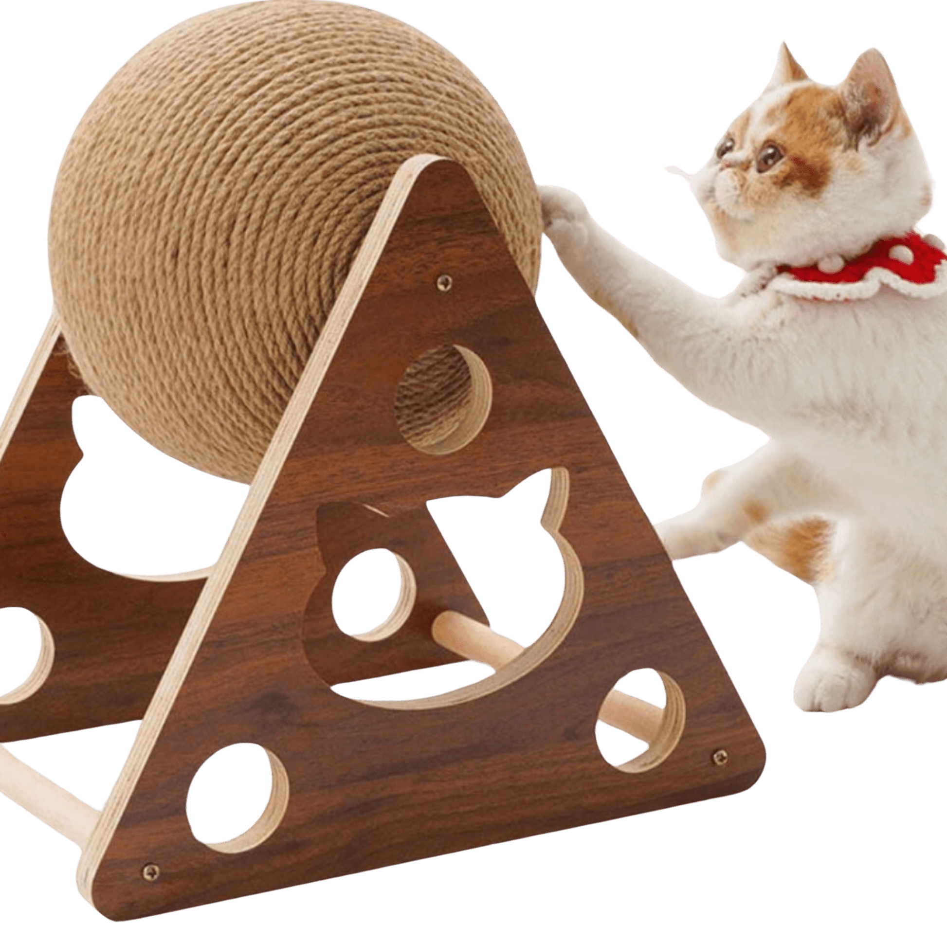 SISAL BALL FÜR IHRE GELIEBTE KATZE - eddy shop