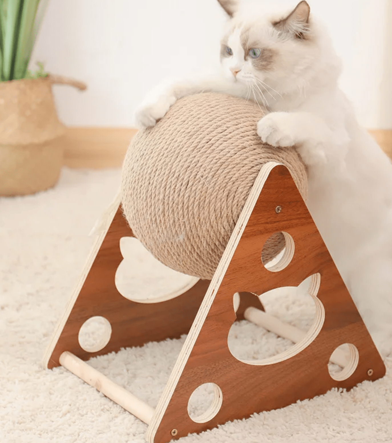 SISAL BALL FÜR IHRE GELIEBTE KATZE - eddy shop