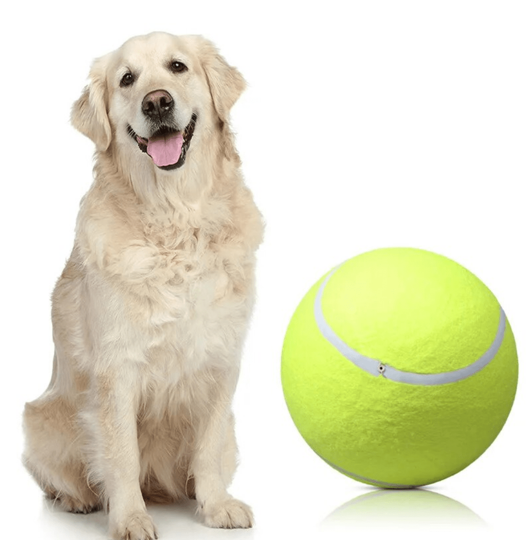 TENNISBALL FÜR HUNDE 24 CM GROSS - eddy shop