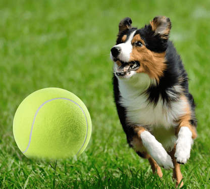 TENNISBALL FÜR HUNDE 24 CM GROSS - eddy shop