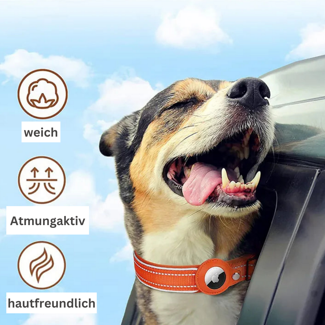 HUNDEHALSBAND MIT AIRTAG HÜLLE